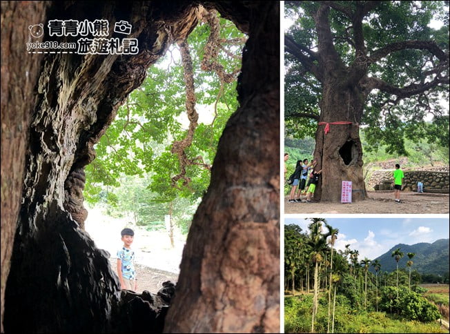 南投免門票景點》南投小資旅遊推薦，適合全家同遊的好玩免門票&銅板價這裡玩 @青青小熊＊旅遊札記