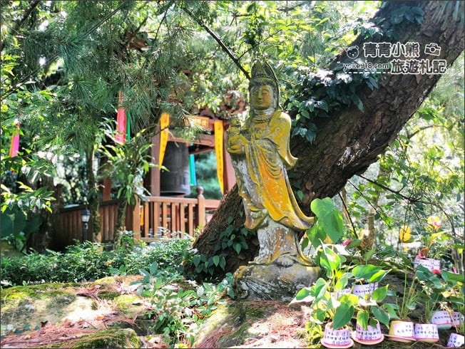 南投景點》禪機山仙佛寺.隱身南投國姓~處處充滿驚喜,日式風味廟宇 @青青小熊*旅遊札記 南投景點》禪機山仙佛寺.隱身南投國姓~處處充滿驚喜,日式風味廟宇 @青青小熊*旅遊札記