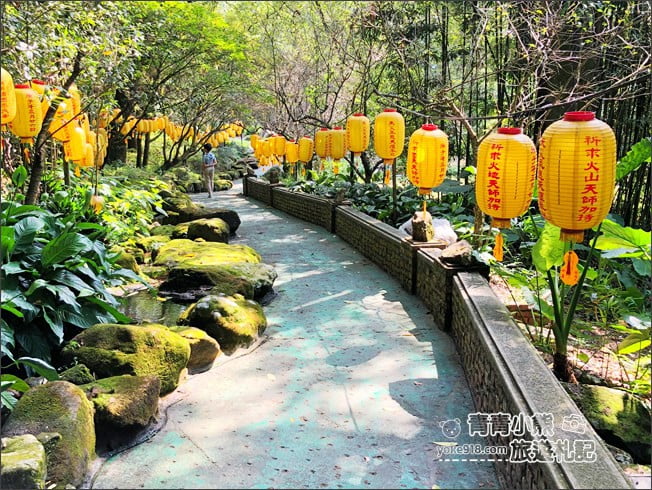 南投景點》禪機山仙佛寺．隱身南投國姓~處處充滿驚喜，日式風味廟宇 @青青小熊＊旅遊札記
