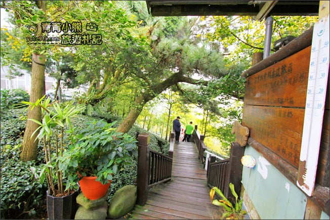南投景點》武岫農圃．賞銀杏看雲海~山中最美銀杏林茶園步道 @青青小熊＊旅遊札記