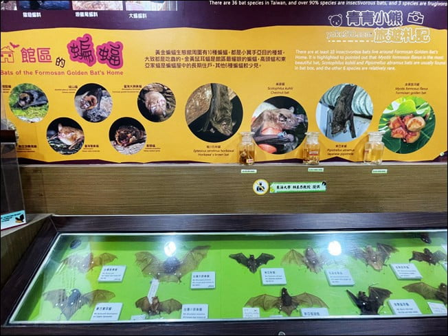 雲林景點》黃金蝙蝠生態館&水林全台唯一蝙蝠主題國小~每個人都可當蝙蝠俠 @青青小熊＊旅遊札記