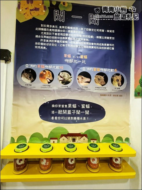 雲林景點》黃金蝙蝠生態館&水林全台唯一蝙蝠主題國小~每個人都可當蝙蝠俠 @青青小熊＊旅遊札記