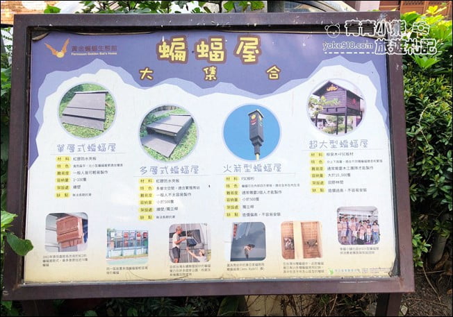 雲林景點》黃金蝙蝠生態館&水林全台唯一蝙蝠主題國小~每個人都可當蝙蝠俠 @青青小熊＊旅遊札記