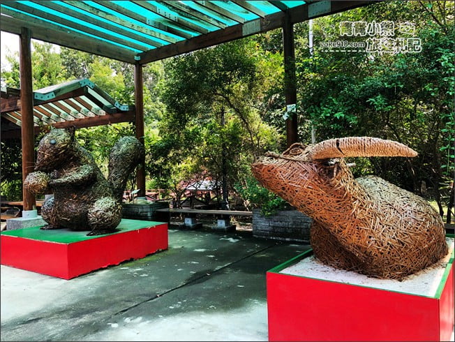 南投景點》集集親子景點~特有生物研究保育中心．充滿驚喜的臺灣物種博物館 @青青小熊＊旅遊札記