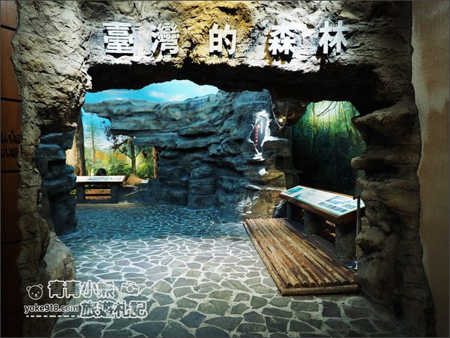 南投景點》集集親子景點~特有生物研究保育中心．充滿驚喜的臺灣物種博物館 @青青小熊＊旅遊札記