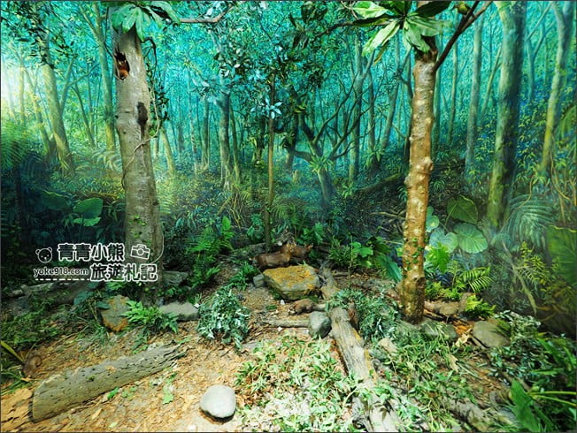 南投景點》集集親子景點~特有生物研究保育中心．充滿驚喜的臺灣物種博物館 @青青小熊＊旅遊札記