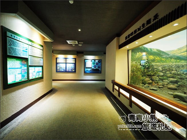 南投景點》集集親子景點~特有生物研究保育中心．充滿驚喜的臺灣物種博物館 @青青小熊＊旅遊札記