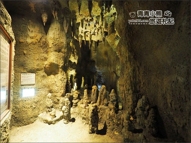 南投景點》集集親子景點~特有生物研究保育中心．充滿驚喜的臺灣物種博物館 @青青小熊＊旅遊札記