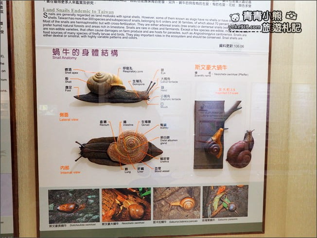 南投景點》集集親子景點~特有生物研究保育中心．充滿驚喜的臺灣物種博物館 @青青小熊＊旅遊札記