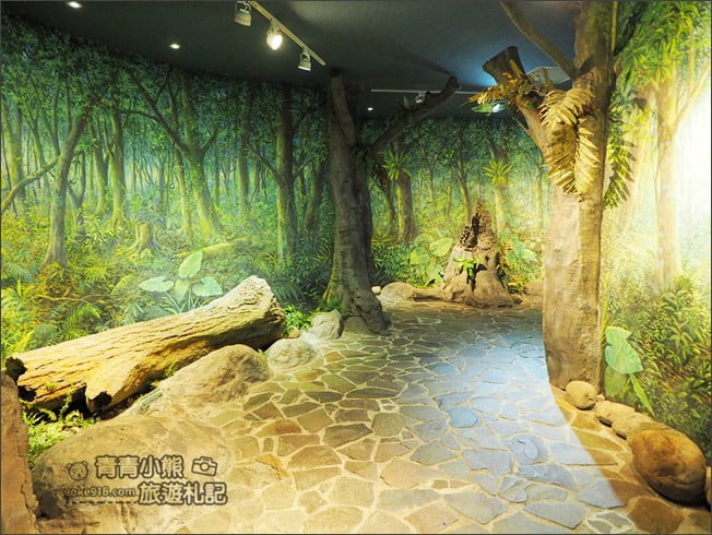 南投景點》集集親子景點~特有生物研究保育中心．充滿驚喜的臺灣物種博物館 @青青小熊＊旅遊札記
