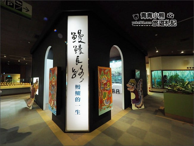 南投景點》集集親子景點~特有生物研究保育中心．充滿驚喜的臺灣物種博物館 @青青小熊＊旅遊札記
