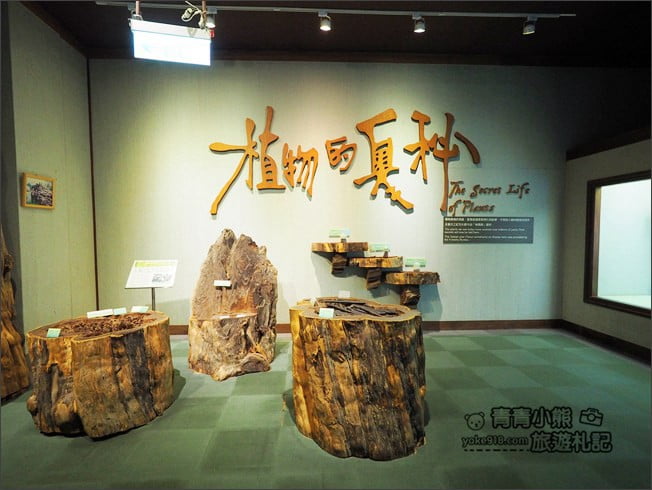 南投景點》集集親子景點~特有生物研究保育中心．充滿驚喜的臺灣物種博物館 @青青小熊＊旅遊札記