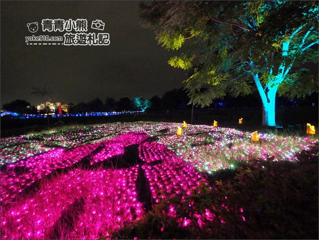 嘉義新景點》北香湖公園~光織影舞如夢似幻全台最大光影藝術展．嘉義必賞光影藝術展 @青青小熊＊旅遊札記