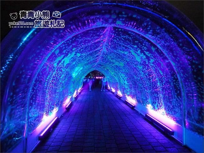 嘉義新景點》北香湖公園~光織影舞如夢似幻全台最大光影藝術展.嘉義必賞光影藝術展 @青青小熊*旅遊札記 嘉義新景點》北香湖公園~光織影舞如夢似幻全台最大光影藝術展.嘉義必賞光影藝術展 @青青小熊*旅遊札記