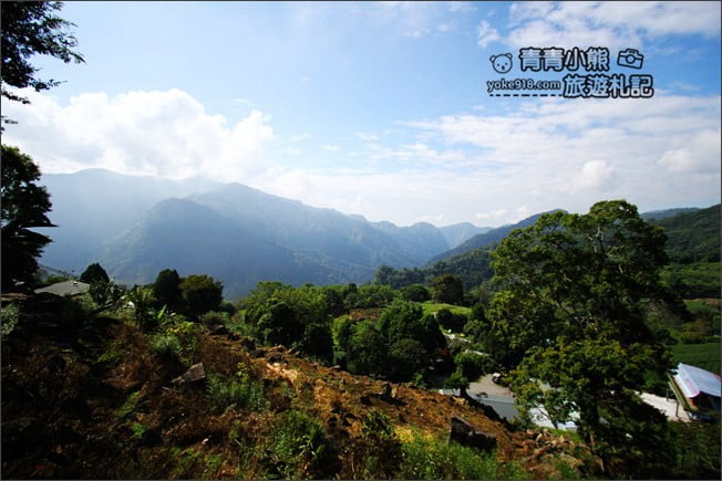 嘉義景點》阿將的家23咖啡館．阿里山上的秘境咖啡廳~約會景點推薦 @青青小熊＊旅遊札記