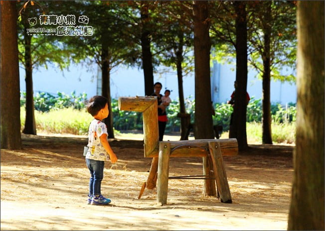 南投景點》139縣道落羽松森林．秋季必賞南投落羽松~一起走進夢幻森林裡 @青青小熊＊旅遊札記