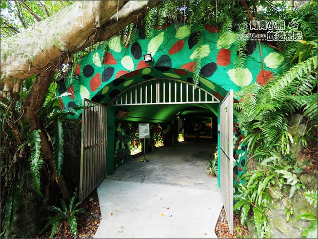 花蓮景點》曼波園區+神秘四八高地坑道．免門票景點讓我們探險去 @青青小熊＊旅遊札記