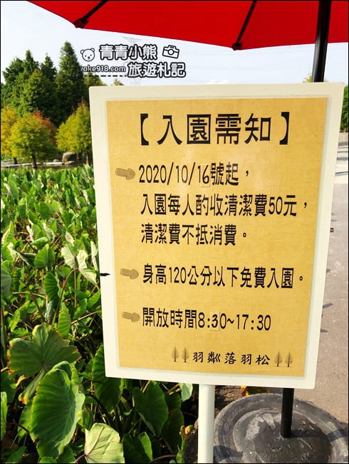 台中景點》泰安國小落羽松秘境.后里戀戀落羽松地景藝術新登場~一起散步去 @青青小熊*旅遊札記 台中景點》泰安國小落羽松秘境.后里戀戀落羽松地景藝術新登場~一起散步去 @青青小熊*旅遊札記