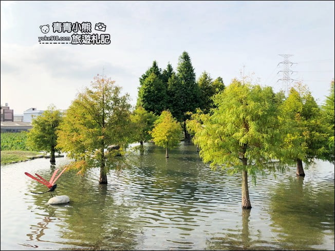 台中景點》泰安國小落羽松秘境.后里戀戀落羽松地景藝術新登場~一起散步去 @青青小熊*旅遊札記 台中景點》泰安國小落羽松秘境.后里戀戀落羽松地景藝術新登場~一起散步去 @青青小熊*旅遊札記