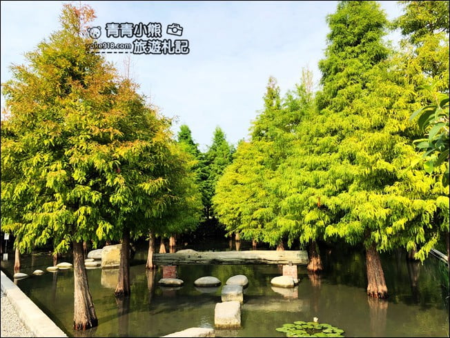 台中景點》泰安國小落羽松秘境.后里戀戀落羽松地景藝術新登場~一起散步去 @青青小熊*旅遊札記 台中景點》泰安國小落羽松秘境.后里戀戀落羽松地景藝術新登場~一起散步去 @青青小熊*旅遊札記