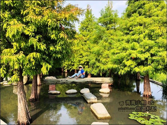 台中景點》泰安國小落羽松秘境.后里戀戀落羽松地景藝術新登場~一起散步去 @青青小熊*旅遊札記 台中景點》泰安國小落羽松秘境.后里戀戀落羽松地景藝術新登場~一起散步去 @青青小熊*旅遊札記