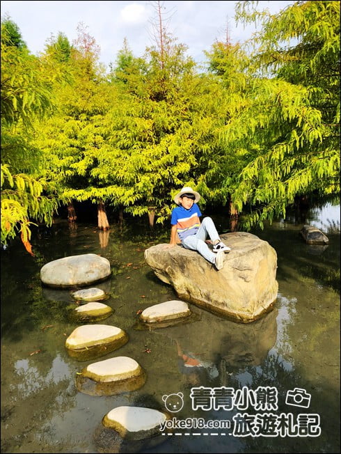 台中景點》泰安國小落羽松秘境.后里戀戀落羽松地景藝術新登場~一起散步去 @青青小熊*旅遊札記 台中景點》泰安國小落羽松秘境.后里戀戀落羽松地景藝術新登場~一起散步去 @青青小熊*旅遊札記