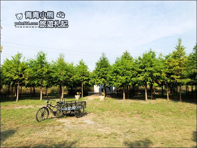 台中景點》泰安國小落羽松秘境.后里戀戀落羽松地景藝術新登場~一起散步去 @青青小熊*旅遊札記 台中景點》泰安國小落羽松秘境.后里戀戀落羽松地景藝術新登場~一起散步去 @青青小熊*旅遊札記