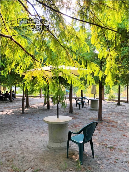台中景點》泰安國小落羽松秘境．后里戀戀落羽松地景藝術新登場~一起散步去 @青青小熊＊旅遊札記