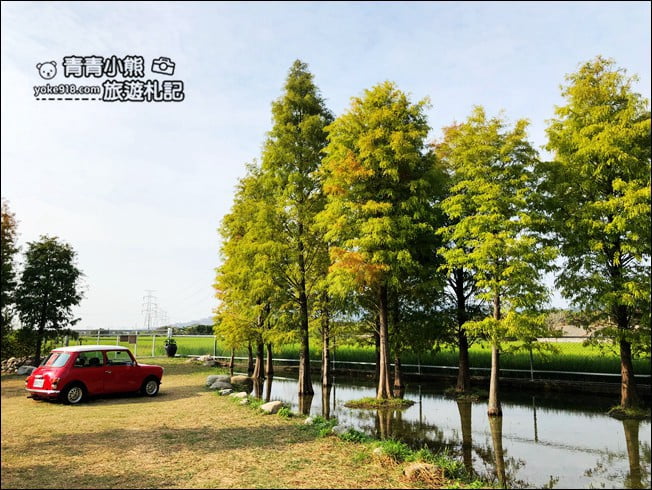 台中景點》泰安國小落羽松秘境.后里戀戀落羽松地景藝術新登場~一起散步去 @青青小熊*旅遊札記 台中景點》泰安國小落羽松秘境.后里戀戀落羽松地景藝術新登場~一起散步去 @青青小熊*旅遊札記