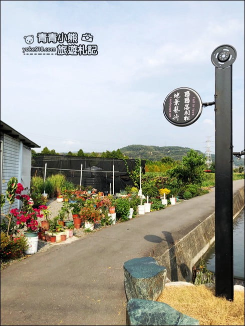 台中景點》泰安國小落羽松秘境．后里戀戀落羽松地景藝術新登場~一起散步去 @青青小熊＊旅遊札記