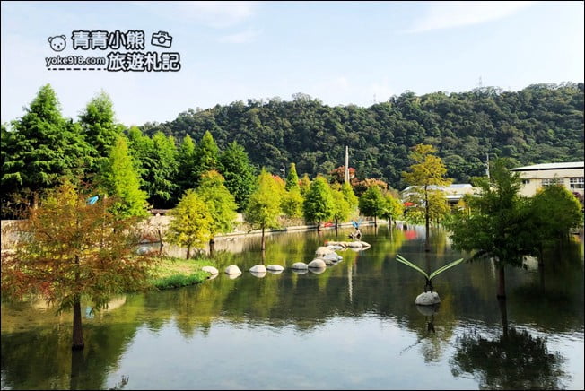 台中景點》泰安國小落羽松秘境．后里戀戀落羽松地景藝術新登場~一起散步去 @青青小熊＊旅遊札記
