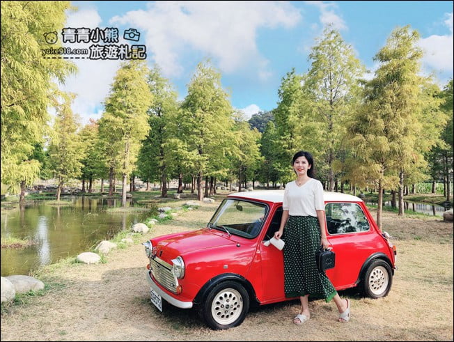 台中景點》泰安國小落羽松秘境.后里戀戀落羽松地景藝術新登場~一起散步去 @青青小熊*旅遊札記 台中景點》泰安國小落羽松秘境.后里戀戀落羽松地景藝術新登場~一起散步去 @青青小熊*旅遊札記