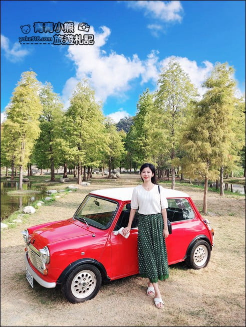 台中景點》泰安國小落羽松秘境.后里戀戀落羽松地景藝術新登場~一起散步去 @青青小熊*旅遊札記 台中景點》泰安國小落羽松秘境.后里戀戀落羽松地景藝術新登場~一起散步去 @青青小熊*旅遊札記