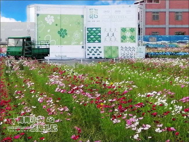 台中景點》龍井花海.2020花現龍井~來賞花,找可愛的西瓜先生拍照去 @青青小熊*旅遊札記 台中景點》龍井花海.2020花現龍井~來賞花,找可愛的西瓜先生拍照去 @青青小熊*旅遊札記