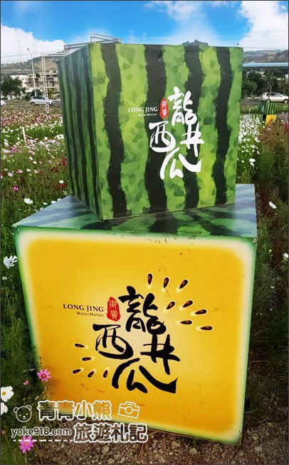 台中景點》龍井花海.2020花現龍井~來賞花,找可愛的西瓜先生拍照去 @青青小熊*旅遊札記 台中景點》龍井花海.2020花現龍井~來賞花,找可愛的西瓜先生拍照去 @青青小熊*旅遊札記