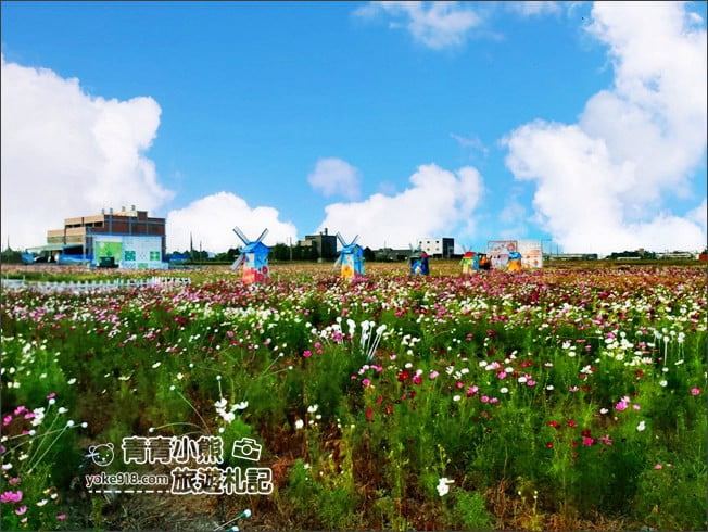 台中景點》龍井花海．2020花現龍井~來賞花，找可愛的西瓜先生拍照去 @青青小熊＊旅遊札記