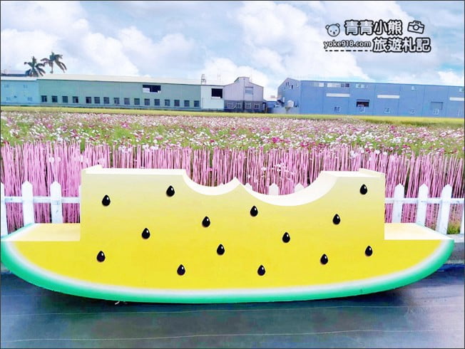 台中景點》龍井花海.2020花現龍井~來賞花,找可愛的西瓜先生拍照去 @青青小熊*旅遊札記 台中景點》龍井花海.2020花現龍井~來賞花,找可愛的西瓜先生拍照去 @青青小熊*旅遊札記