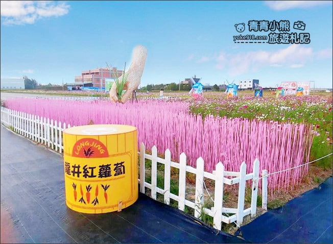 台中景點》龍井花海．2020花現龍井~來賞花，找可愛的西瓜先生拍照去 @青青小熊＊旅遊札記