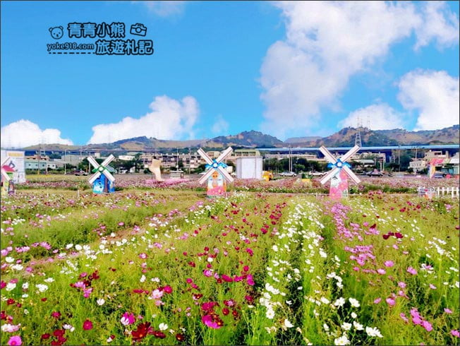 台中景點》龍井花海.2020花現龍井~來賞花,找可愛的西瓜先生拍照去 @青青小熊*旅遊札記 台中景點》龍井花海.2020花現龍井~來賞花,找可愛的西瓜先生拍照去 @青青小熊*旅遊札記
