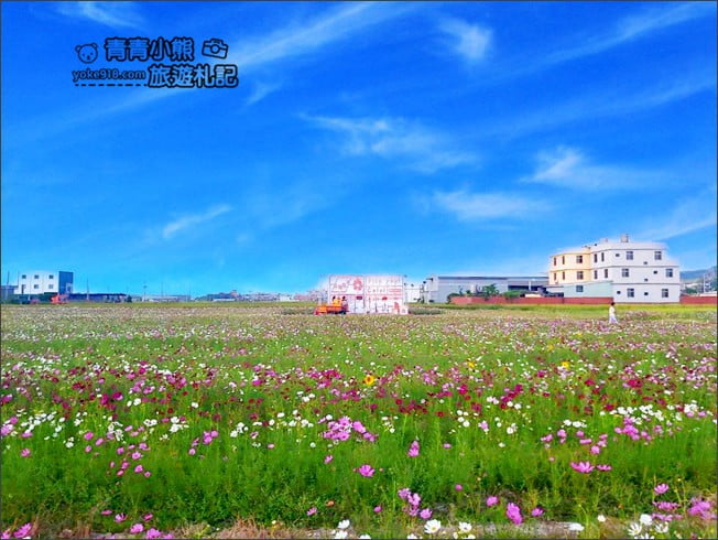 台中景點》龍井花海.2020花現龍井~來賞花,找可愛的西瓜先生拍照去 @青青小熊*旅遊札記 台中景點》龍井花海.2020花現龍井~來賞花,找可愛的西瓜先生拍照去 @青青小熊*旅遊札記