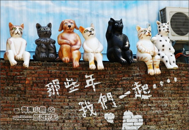 台中景點》啵比星球．海灣樂世界寵物樂園~親子同遊，這裡也是毛小孩的水陸遊樂園 @青青小熊＊旅遊札記