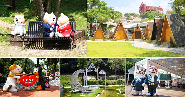 台中景點》啵比星球．海灣樂世界寵物樂園~親子同遊，這裡也是毛小孩的水陸遊樂園 @青青小熊＊旅遊札記