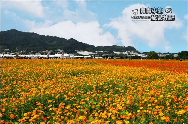 台中賞花景點》新社花海 2020臺中國際花毯節.愛麗絲的花境探險,走進童話花海裡 @青青小熊*旅遊札記 台中賞花景點》新社花海 2020臺中國際花毯節.愛麗絲的花境探險,走進童話花海裡 @青青小熊*旅遊札記