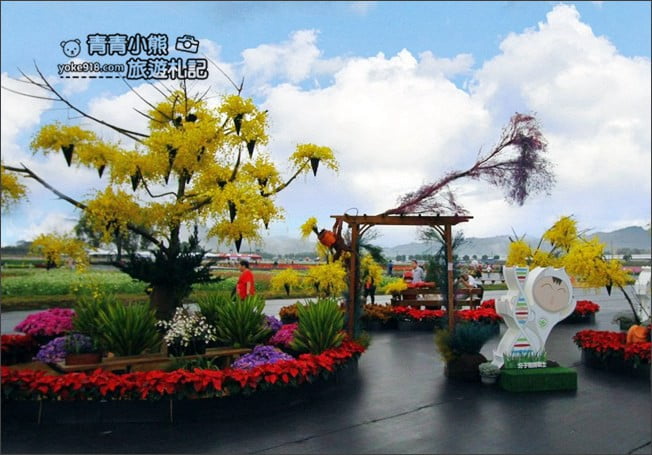 台中賞花景點》新社花海 2020臺中國際花毯節.愛麗絲的花境探險,走進童話花海裡 @青青小熊*旅遊札記 台中賞花景點》新社花海 2020臺中國際花毯節.愛麗絲的花境探險,走進童話花海裡 @青青小熊*旅遊札記