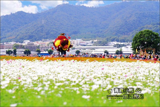 台中賞花景點》新社花海 2020臺中國際花毯節.愛麗絲的花境探險,走進童話花海裡 @青青小熊*旅遊札記 台中賞花景點》新社花海 2020臺中國際花毯節.愛麗絲的花境探險,走進童話花海裡 @青青小熊*旅遊札記