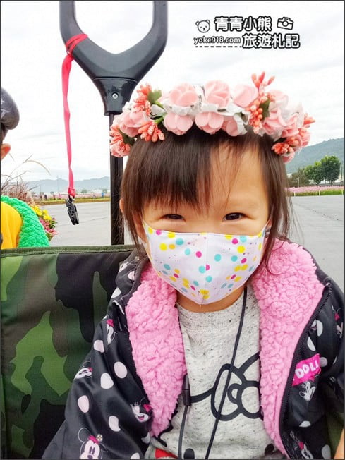 台中賞花景點》新社花海 2020臺中國際花毯節.愛麗絲的花境探險,走進童話花海裡 @青青小熊*旅遊札記 台中賞花景點》新社花海 2020臺中國際花毯節.愛麗絲的花境探險,走進童話花海裡 @青青小熊*旅遊札記