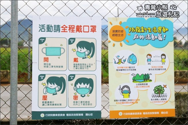 台中賞花景點》新社花海 2020臺中國際花毯節．愛麗絲的花境探險，走進童話花海裡 @青青小熊＊旅遊札記