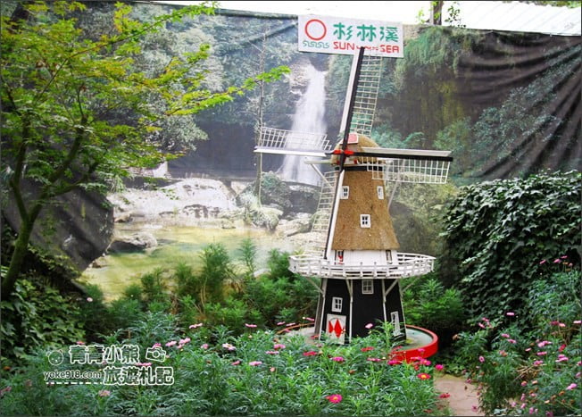 南投景點》杉林溪森林生態渡假園區．賞楓葉 黃金水杉木~季節限定必賞美景 @青青小熊＊旅遊札記