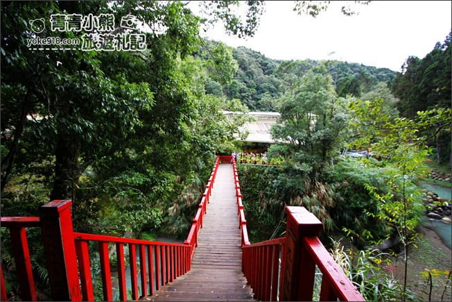 南投景點》杉林溪森林生態渡假園區．賞楓葉 黃金水杉木~季節限定必賞美景 @青青小熊＊旅遊札記