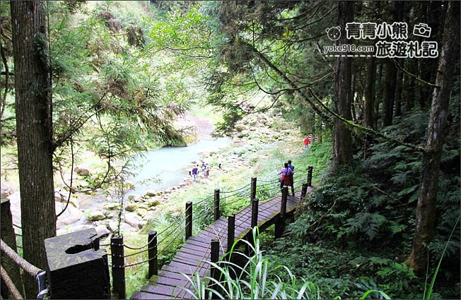 南投景點》杉林溪森林生態渡假園區．賞楓葉 黃金水杉木~季節限定必賞美景 @青青小熊＊旅遊札記